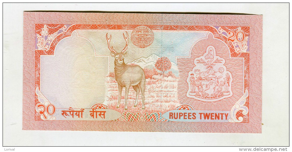 20 ROUPIES NEUF 4 - Népal
