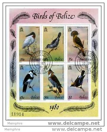 BELIZE 1980  &laquo;Birds Of Belize&raquo; Oiseaux Vôgel SG MS566 Scott 500 Mi Nr 487-92 Block Used - Belice (1973-...)