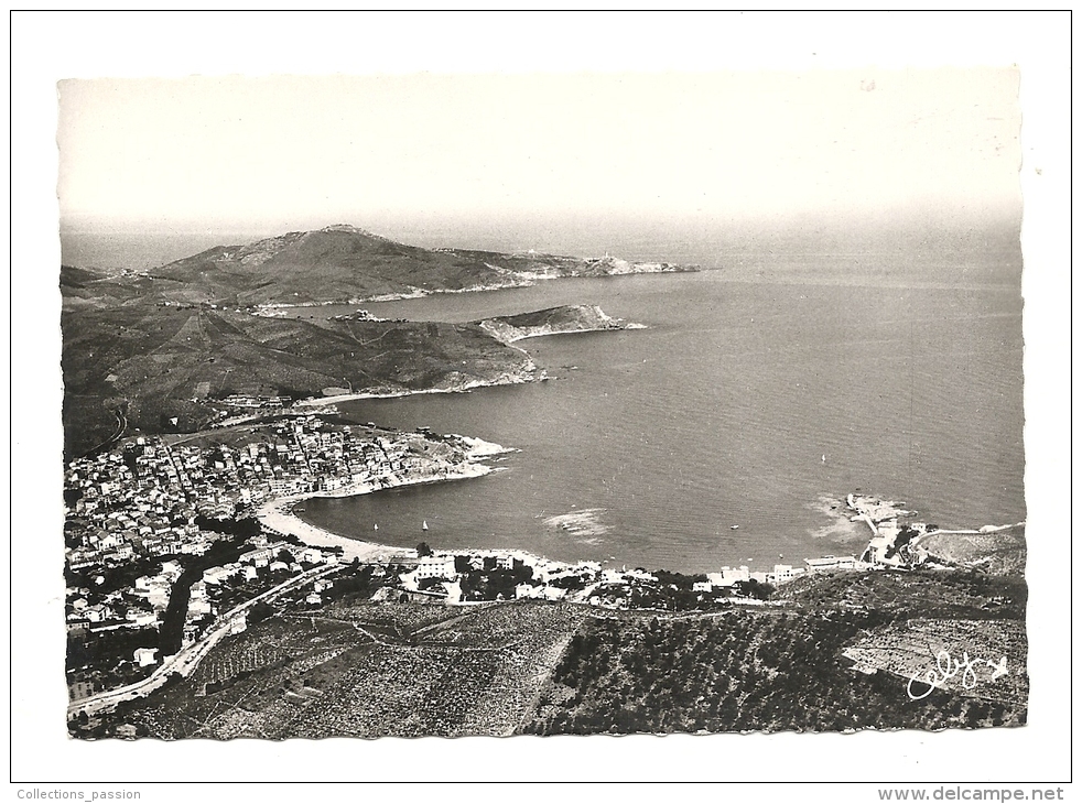 Cp, 66, Banyuls, La Grande Baie Et Les Caps - Banyuls Sur Mer