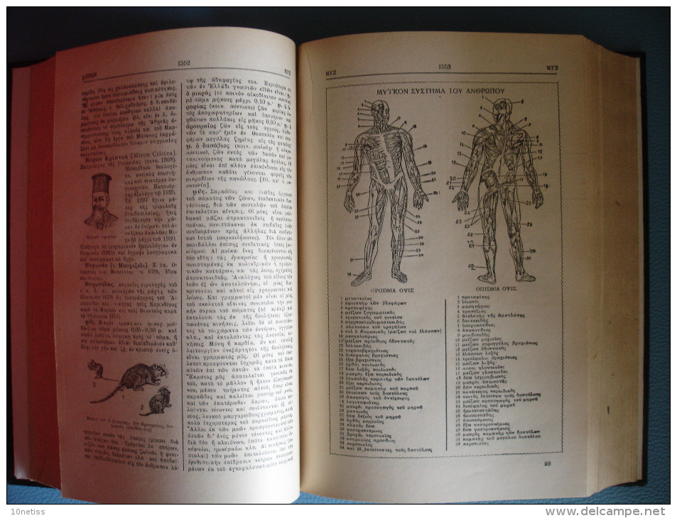 Greece Greek Encyclopedic Dictionary Volume II 1932 - Alte Bücher