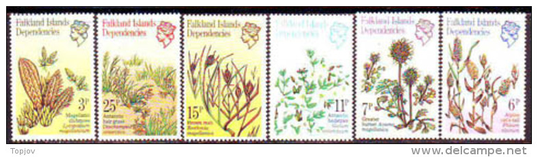 FALKLAND  Is. Dependence  - ANTACTIC PLANTS -  GRASS - FLOWERS  - MNH * *- 1981 - Fauna Antártica