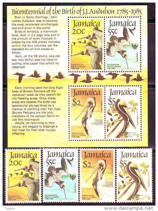 JAMAICA - BIRDS - AUDUBON - PELICANS  - **MNH - 1985 - Pelicans