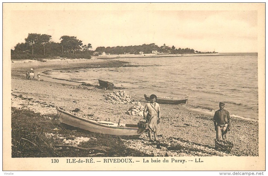 Réf : VP 1-14-320  :   Rivedoux - Ile De Ré