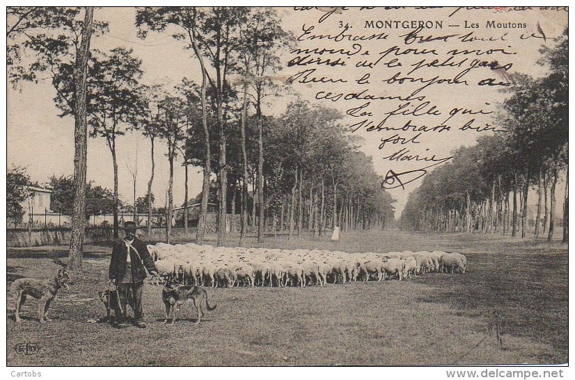 91 MONTGERON  Les Moutons - Montgeron