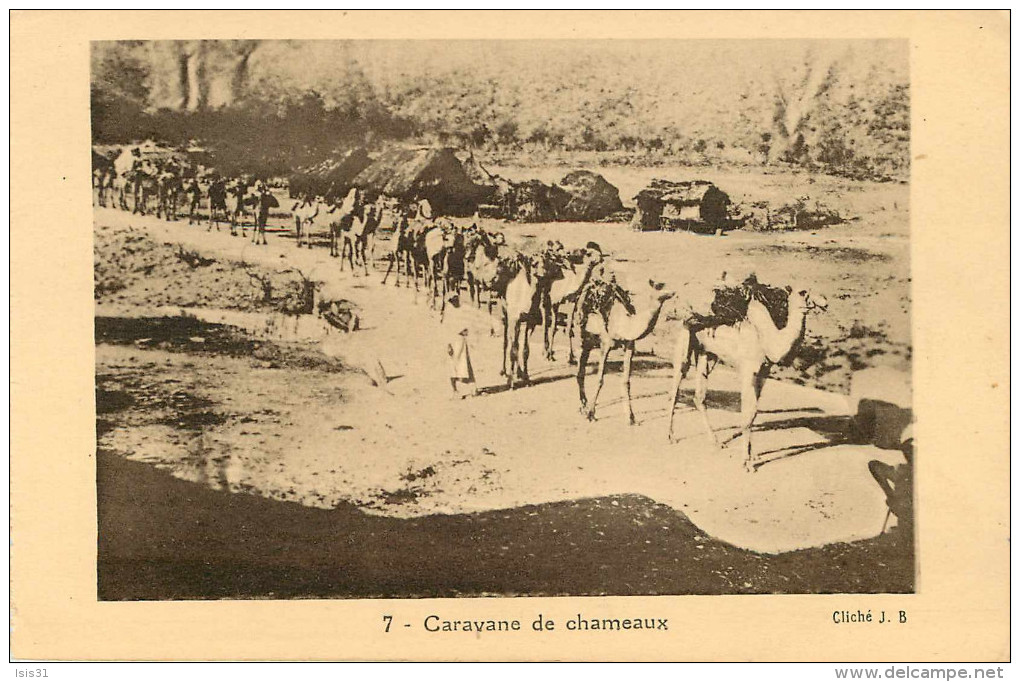 Afrique - Ethiopie - Animaux - Caravane De Chameaux - état - Ethiopie