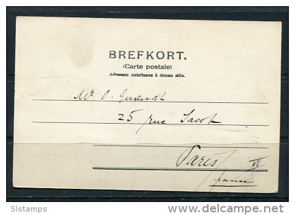 Denmark 1906 Postal Card  Small Vilage Bispagarden Waterfall To Paris France - Covers & Documents