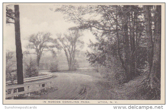 Scene In Roscoe Conkling Park Utica New York Albertype - Utica