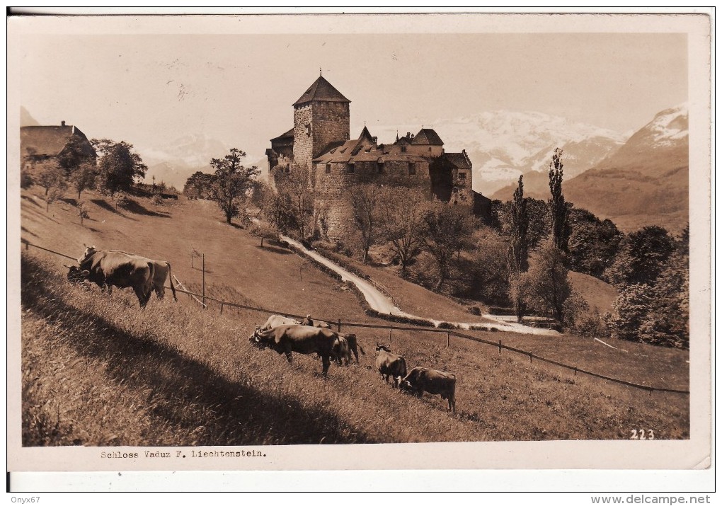 Schloss VADUZ (Liechtenstein) KUH - VACHE - Photo FOTO A.BUCK, Schaan-Timbre-Briefstempe L- - Unclassified