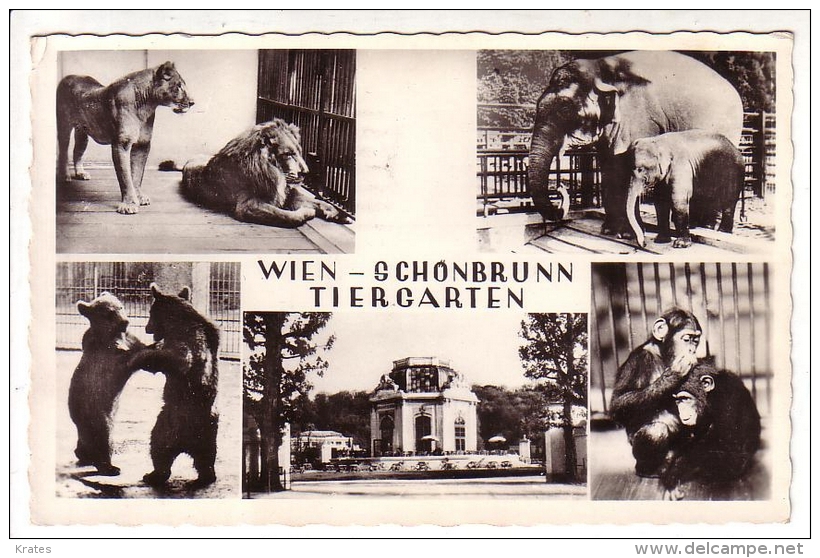 Postcard - Wien    (13495) - Château De Schönbrunn