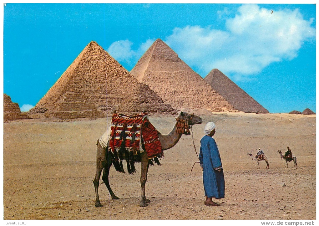 CPSM Egypte-Giza   L1555 - Gizeh