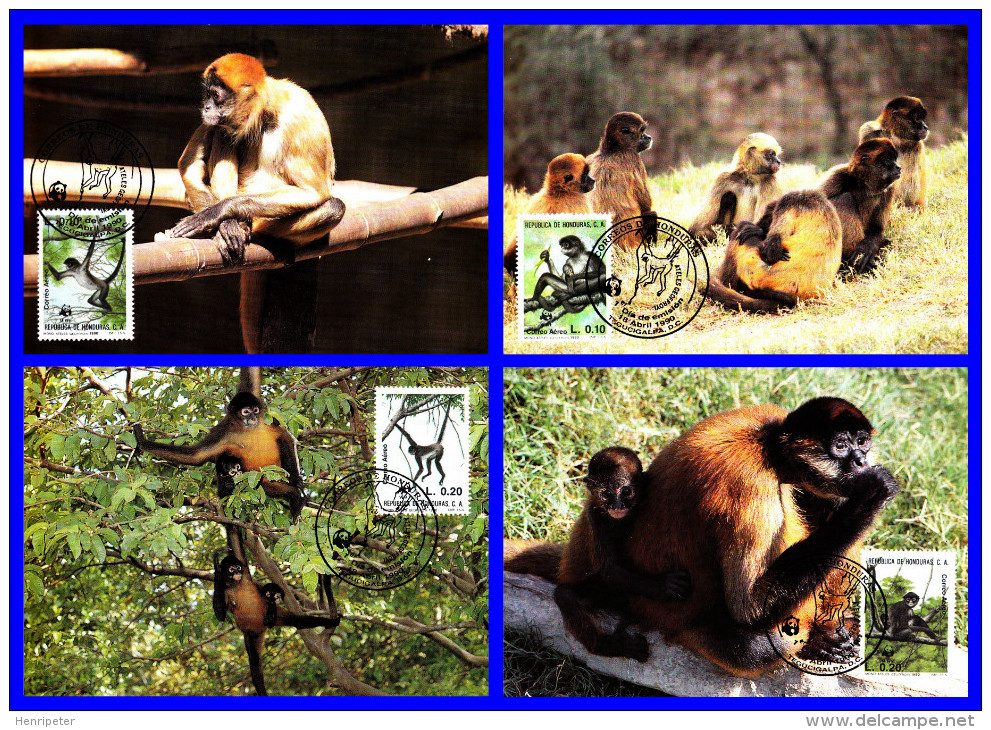 Série De 4 Cartes Maximum - Faune Protégée - Atèle De Geoffroy (Ateles Geoffroyi) - République Du Honduras - 1990 - Honduras