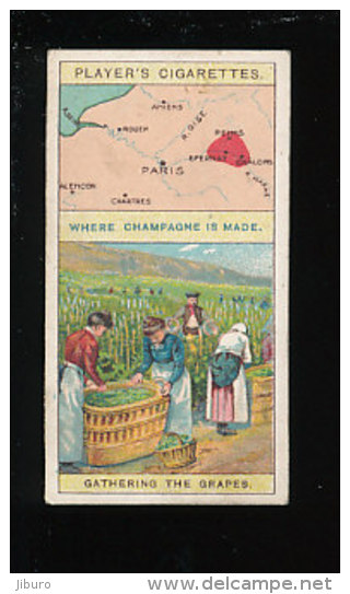 Gathering The Grapes / Vendange Du Champagne / Vin Vendanges Wine Récolte Production / Viticulture  / IM 133 - Player's