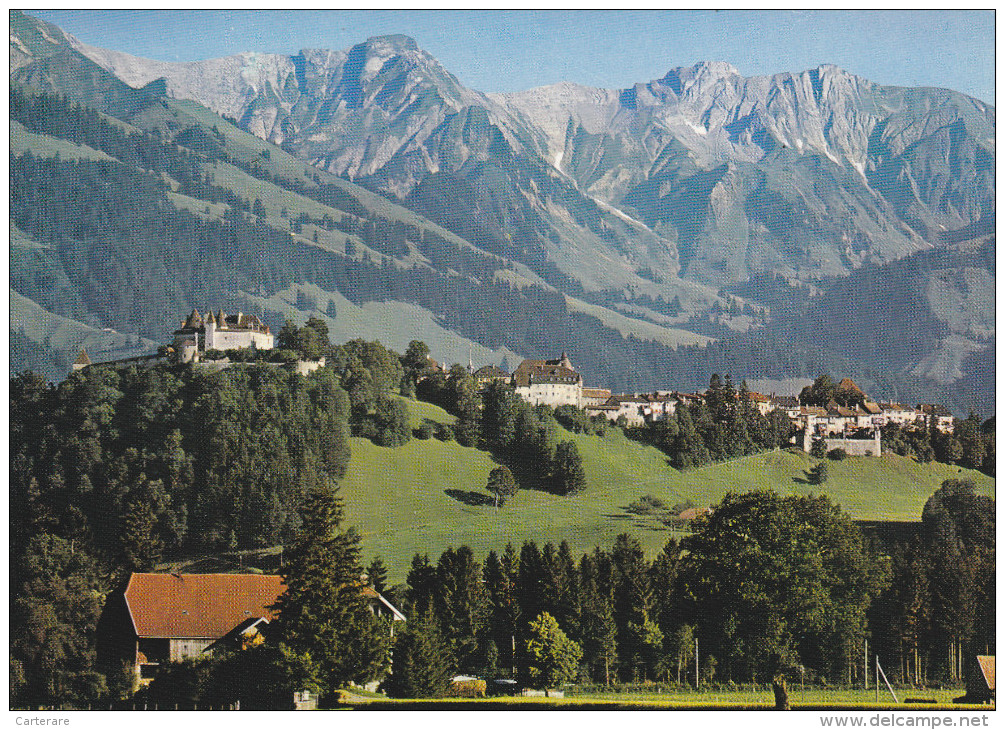 SUISSE,SWITZERLAND,SWISS, HELVETIA,SCHWEIZ,SVIZZERA , FRIBOURG,GRUYERES,prés Bulle,chateau,prairie - Bulle