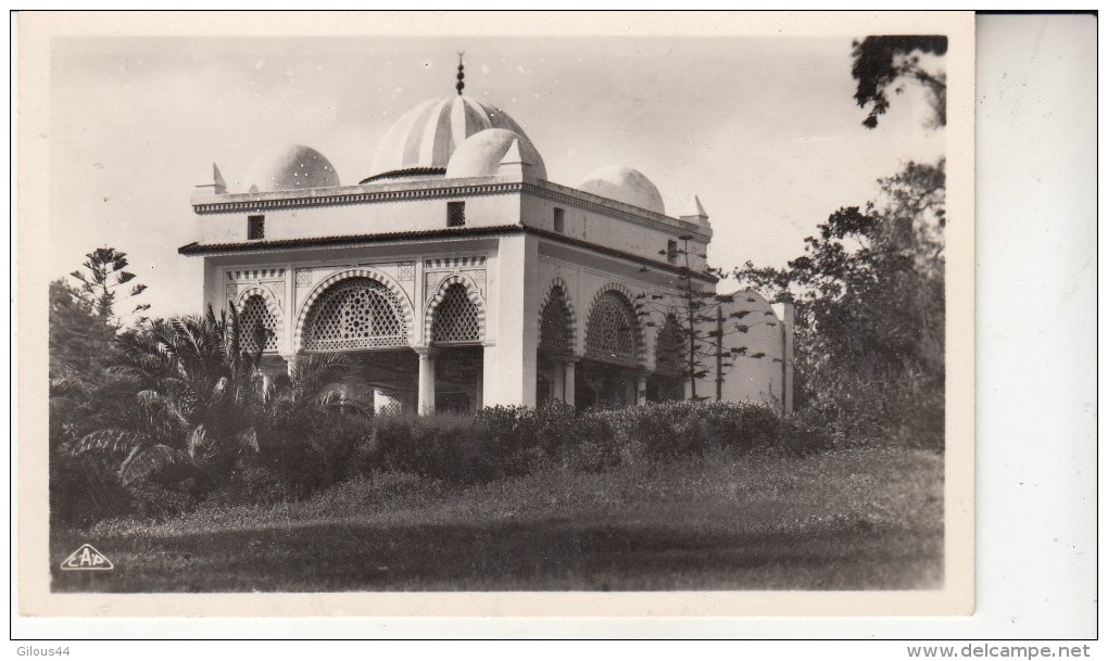 Tunis Le Belvèdere La Kouba - Tunisie