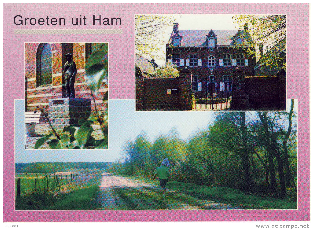 Ham  Groeten Uit... Meerzicht - Ham