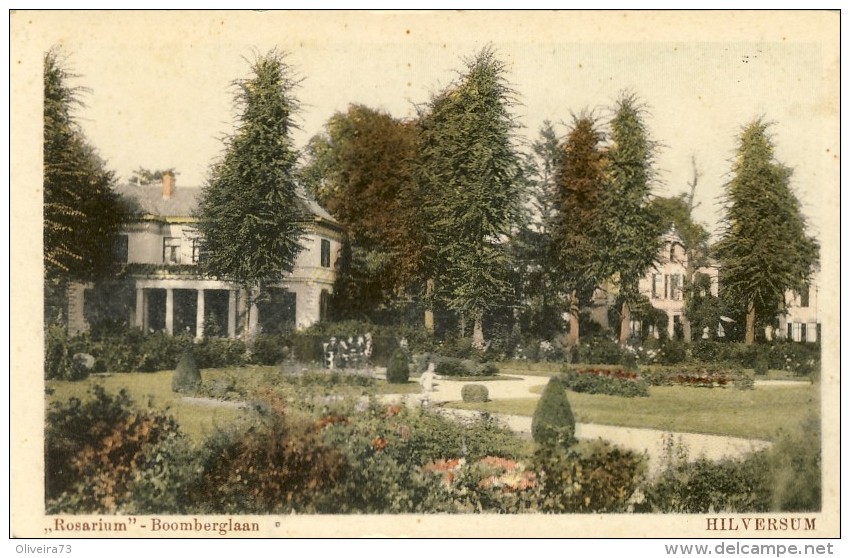 HILVERSUM - Rosarium - Boomberglaan - 2 Scans  (VINTAGE POSTCARD) - Hilversum