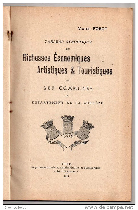 Tableau Synoptique Des Richesses économiques, Artistiques Et Touristiques Des 289 Communes De Corrèze, Victor Forot 1921 - Limousin