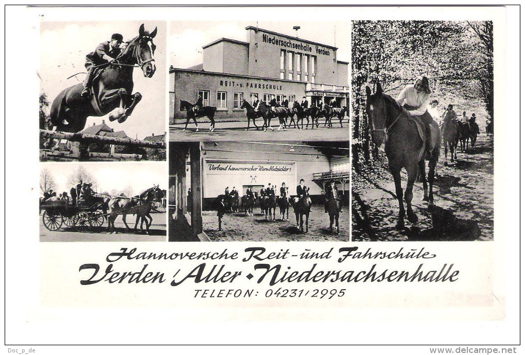 Germany - Verden / Aller - Hannoversche Reit Und Fahrschule - Niedersachsenhalle - Horse School - Pferrde Reitschule - Verden