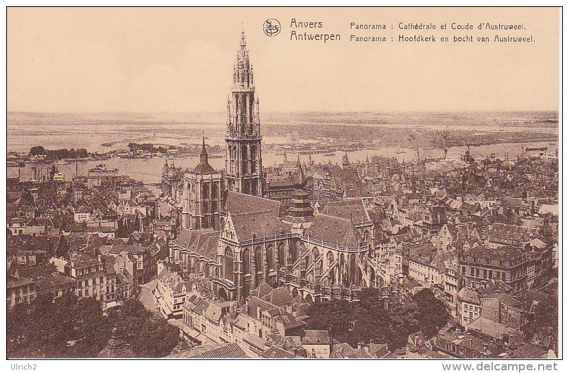 CPA Anvers/Antwerpen - Panorama - Cathédrale Et Coude D'Austruweel (1002) - Antwerpen