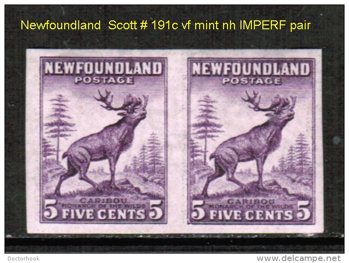 NEWFOUNDLAND    Scott  # 191c**  VF MINT NH IMPERFORATE PAIR - 1908-1947