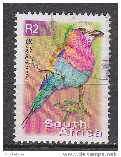 South Africa 2003 Mi. 1304 C 2 R Vogel Oiseau Perf. 13 - Oblitérés