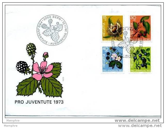 SUISSE FDC  Pro Juventute 1973 - FDC