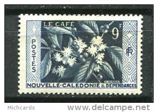 125 NOUVELLE CALEDONIE 1955 - Cafe (Yvert 286) Neuf ** (MNH) Sans Trace De Charniere - Ungebraucht