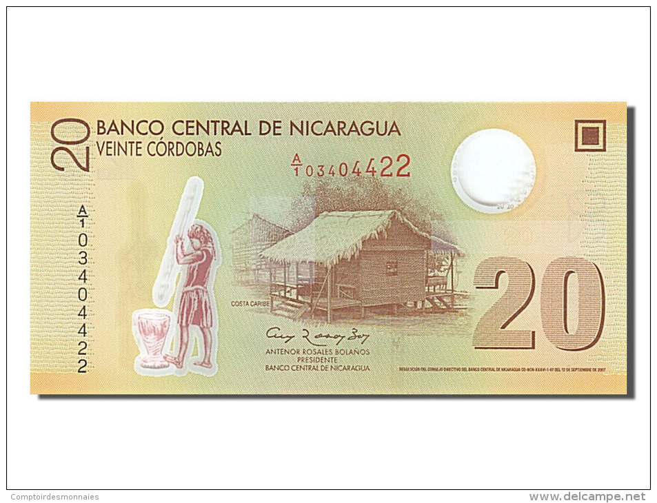 [#254484] Nicaragua, 20 Cordobas, Type 2007 - Nicaragua