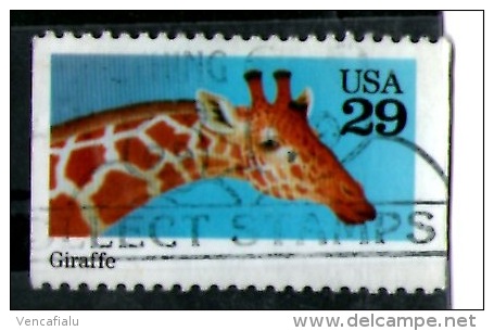 United States  - 1 Used Stamp With Sticker - Giraffen