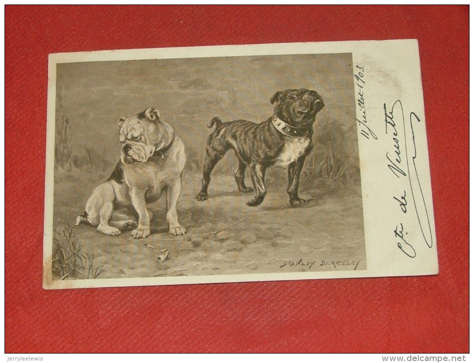 CHIENS  -   Illustrateur  " Stanley  Berkeley "  -   1903  - (2 Scans) - Hunde