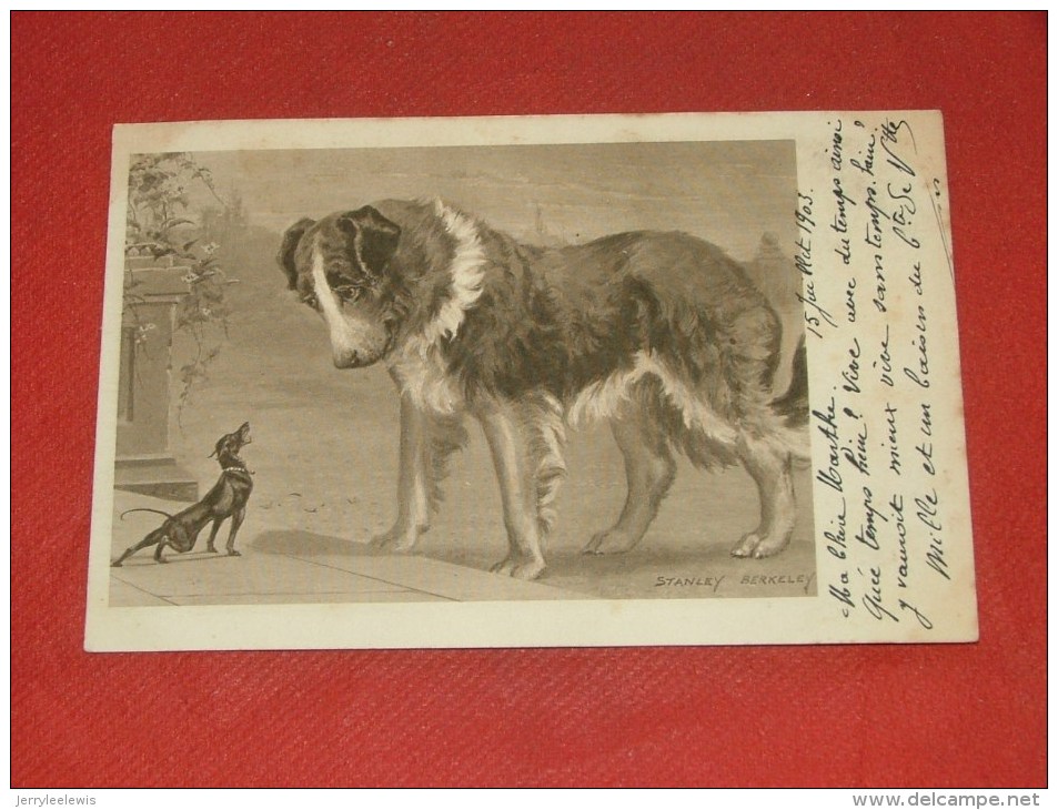 CHIENS  -   Illustrateur  " Stanley  Berkeley "  -   1903  - (2 Scans) - Hunde