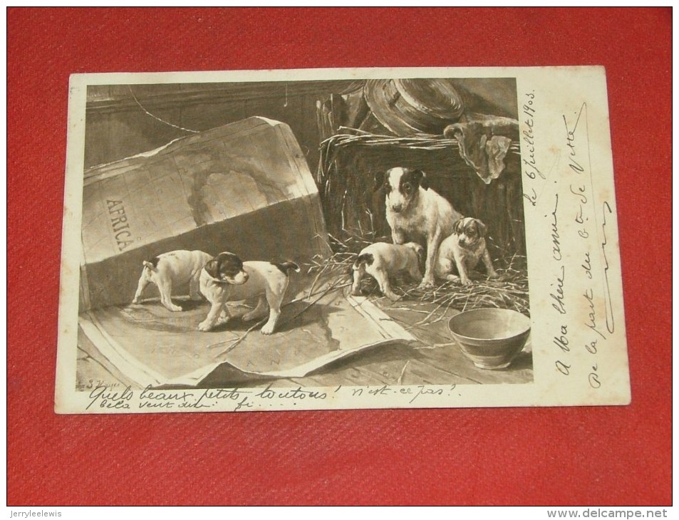 CHIENS    -   1903  - (2 Scans) - Hunde