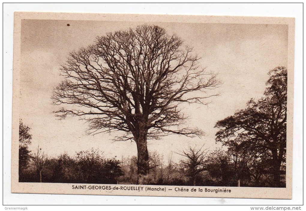 Cpa 50 - Saint-Georges-de-Rouelley - Chêne De La Bourginière - Bomen