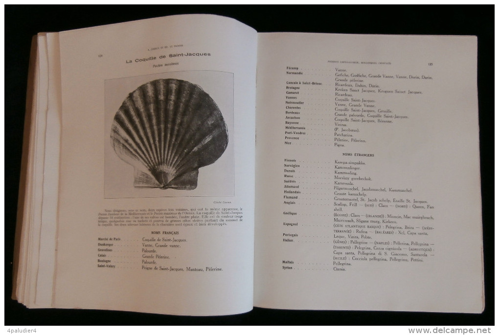 CATALOGUE ILLUSTRE DES ANIMAUX MARINS COMESTIBLES POISSONS MOLLUSQUES CRUSTACES Louis JOUBIN Ed. LE DANOIS 1925