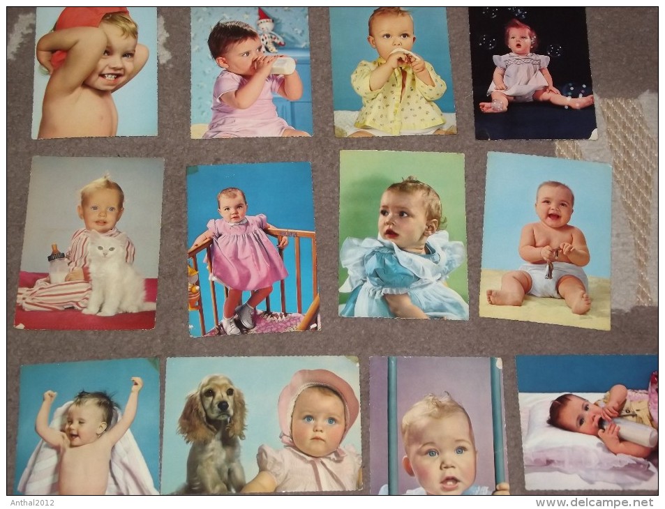 12 Card AK Ansichtskarten Baby Mit Hund Dog Chien Bottle - Sammlungen, Lose & Serien
