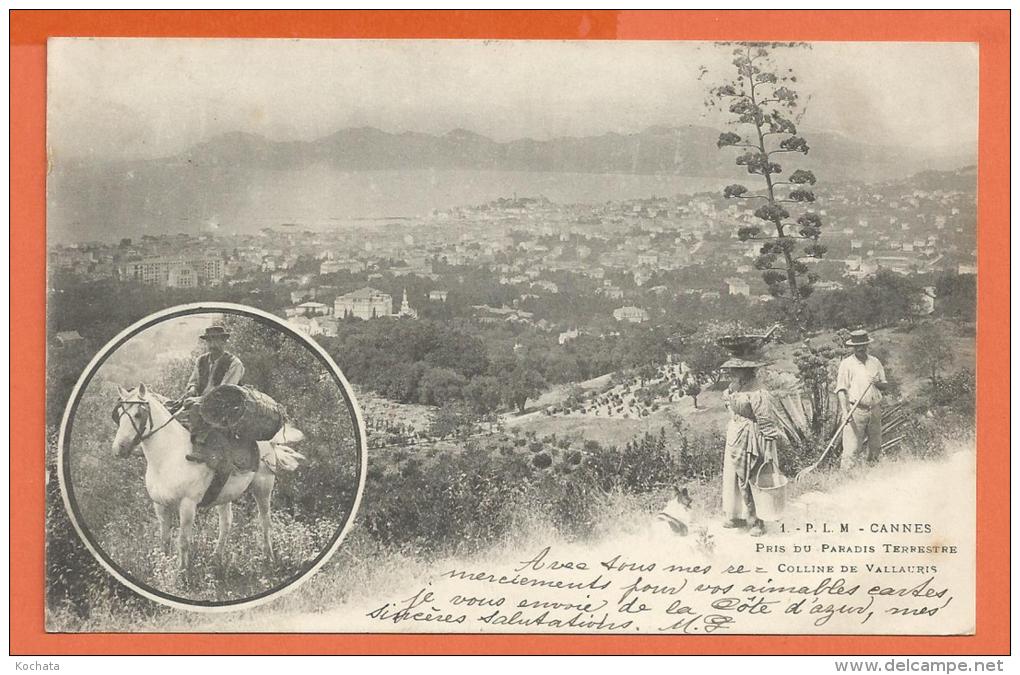 MOL2/403, Cannes, Colline De Vallauris, Précurseur, Circulée 1901 - Cannes