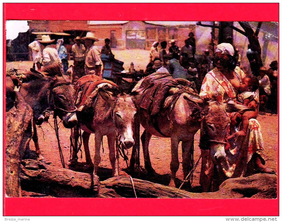 COLOMBIA  - Cartolina Viaggiata Anni 70 - Goajira - Maicao - Mercato - Colombia