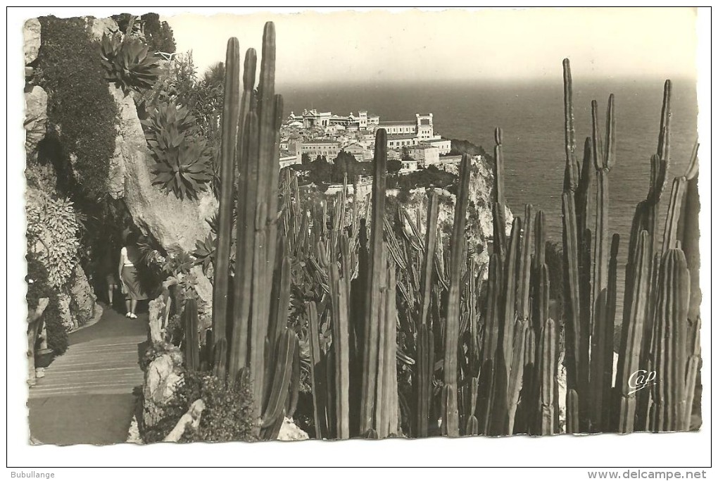Monaco, Le Rocher Vu Du Jardin Exotique, Bords Dentelés,n°128, Voyagée En 1956, Scan Verso (timbres Pont De Cahors) - Jardin Exotique