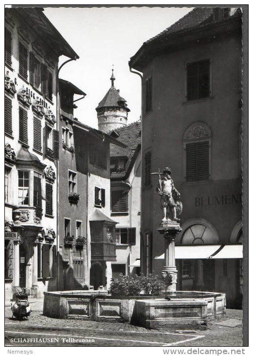 SCHAFFHAUSEN TELLBRUNNEN FG NV SEE 2 SCANS GUGLIELMO TELL - Altri & Non Classificati