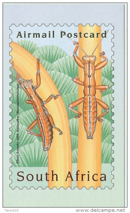 AFRIQUE DU SUD - ENTIER POSTAL  CARTE POSTALE  SUJET INSECTES - Autres & Non Classés