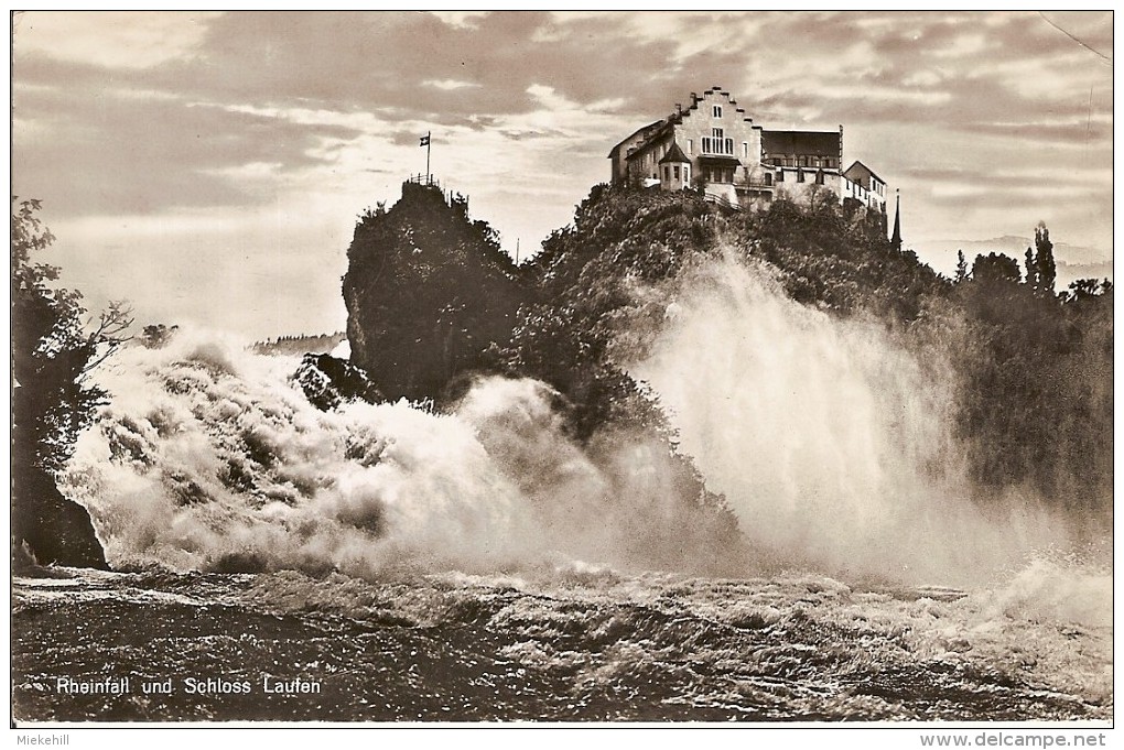 SUISSE-RHEINFALL UND SCHLOSS LAUFEN - Sonstige & Ohne Zuordnung