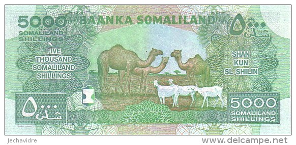 SOMALILAND   5 000 Shillings  Emission De 2011    ***** BILLET  NEUF ***** - Somalia