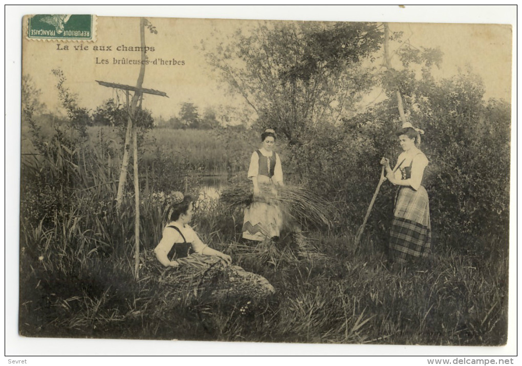 Série LA VIE AUX CHAMPS . Les Brûleuses D'Herbes - Fermes