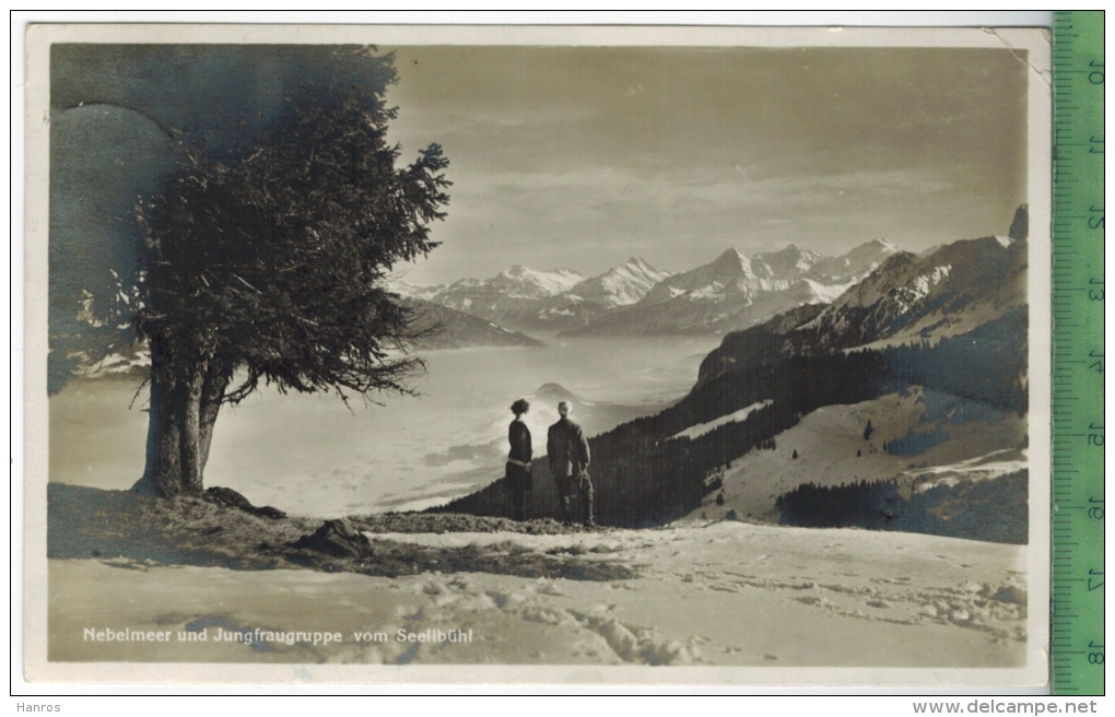 Nebelmeer Und Jungfraugruppe Vom Seelibühl 1930, Verlag: Engetschwiler & Zbinden, Schwarzenburg, - Schwarzenburg