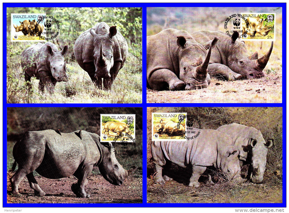 Série De 4 Cartes Maxima - Faune Protégée - Rhinocéros Blanc (Ceratotherium Simum) - Royaume Du Swaziland 1987 - Swaziland (1968-...)