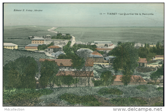 ALGERIE  TIARET / Le Quartier De La Remonte / BELLE CARTE COULEUR - Tiaret