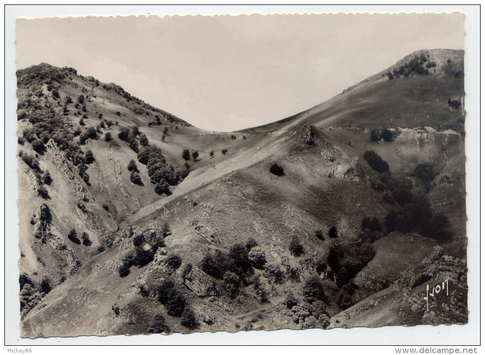 ST ETIENNE DE BAIGORRY --- Col D´ Ispéguy ,cpsm 10 X 15  N° IB 5045  éd Yvon - Saint Etienne De Baigorry