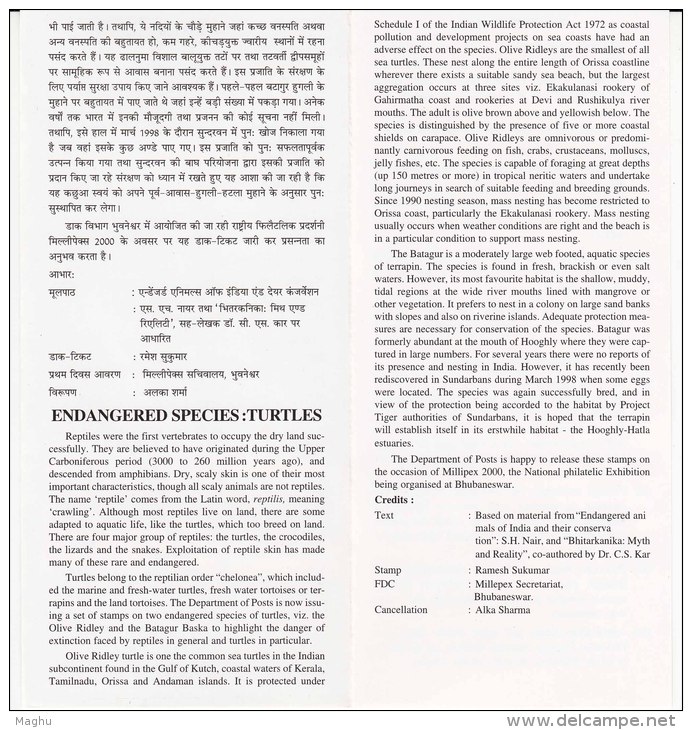 Stamped Information OnTurtles  Endangered Speices, Turtle, Reptile, Protection, Project Tiger, Millepex,  India 2000 - Tortugas