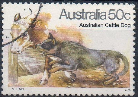 Australia 1980 Dogs 50c Australian Cattle Dog Used - Neufs