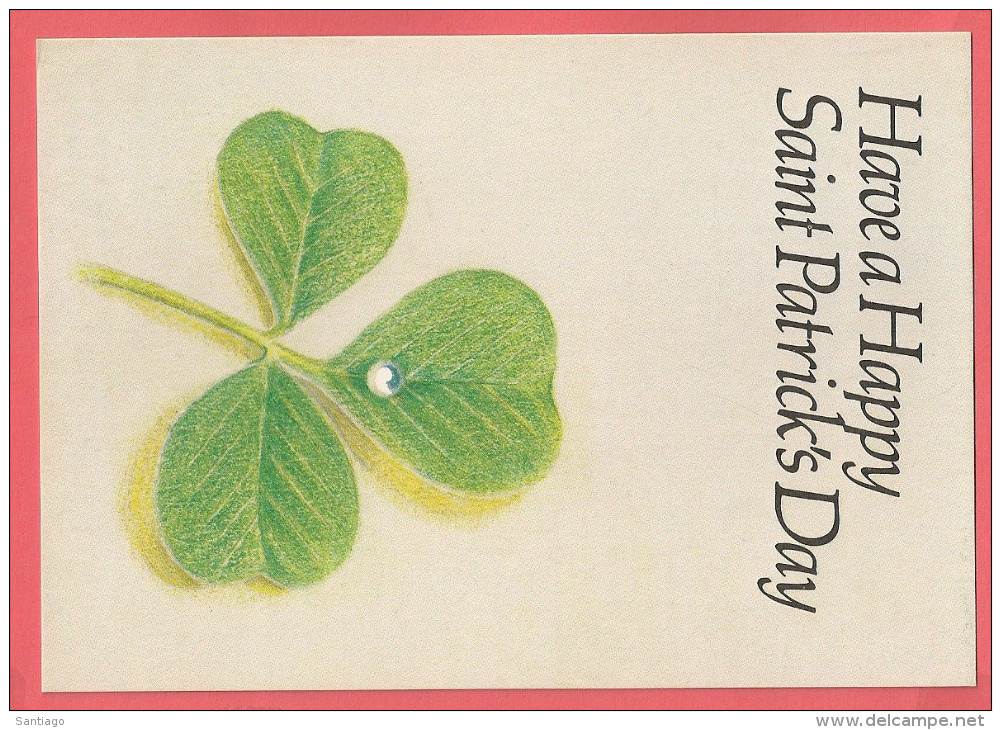 Postcards / Carta Poist : St Patricks Day  - PSPC13 ( Shamrock ) New - Ganzsachen